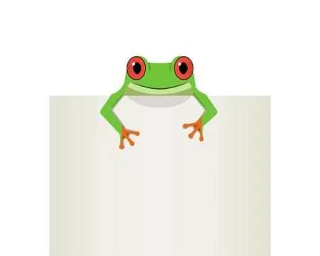 Red eye frog on top white paper, vector Stock Illustration
