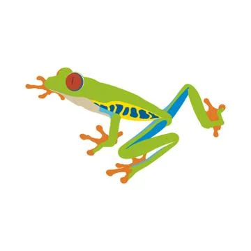 Red-eye tree frog flat design Stock Illustration