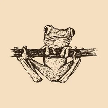 Red eyed tree frog hand drawn. Vintage engraving. Pointillism style. Vector.. Stock Illustration