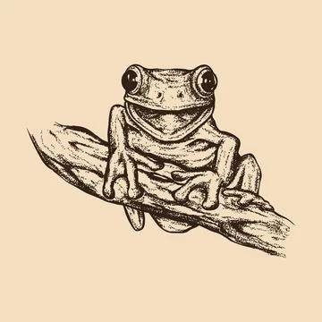 Red eyed tree frog hand drawn. Vintage engraving. Pointillism style. Vector.. Illustrazione stock