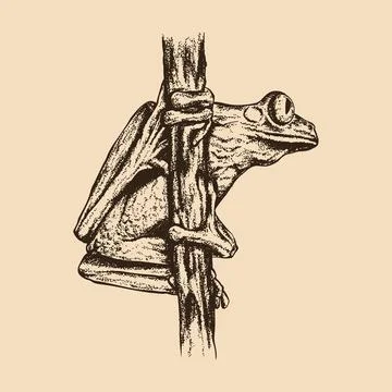Red eyed tree frog hand drawn. Vintage engraving. Pointillism style. Vector.. Stock Illustration