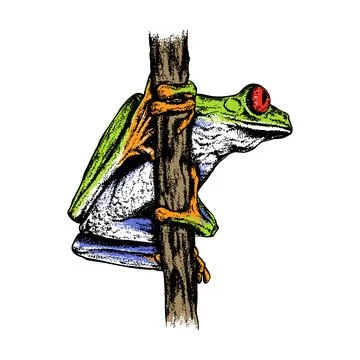 Red eyed tree frog hand drawn. Vintage engraving. Pointillism style. Vector.. Stock Illustration