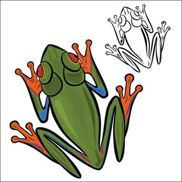 Red-eyed tree frog Stock Illustration