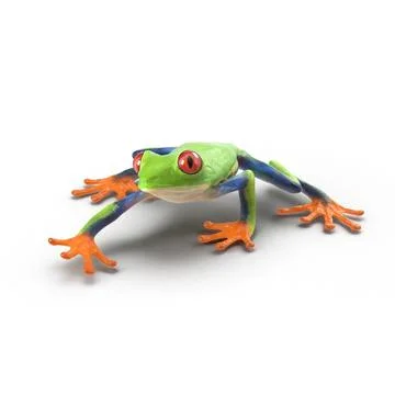 Red Eyed Tree Frog Pose 2 ~ 3D Model #90845486 | Pond5