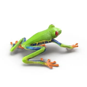 Red Eyed Tree Frog Pose 2 ~ 3D Model #90845486 | Pond5