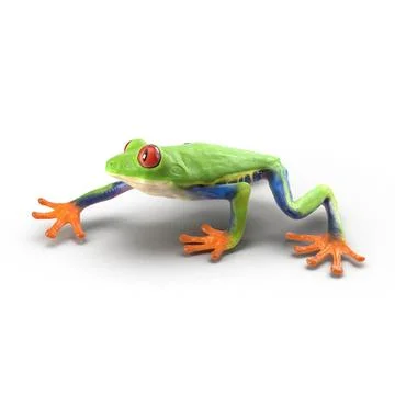 Red Eyed Tree Frog Pose 2 ~ 3D Model #90845486 | Pond5