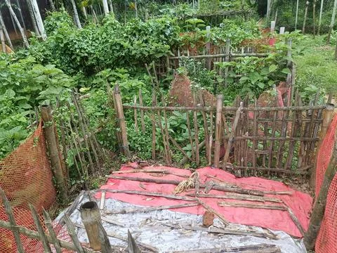 Red fabric draped over rustic wooden fence in lush garden setting draped fabr Fotos Stock