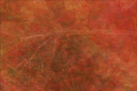 Red Fall DV 動画素材 362585