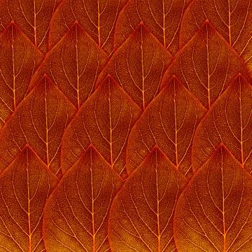 Red fall leaf background Stock Illustration