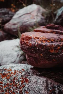 Red Fall Stone  Stock Photos