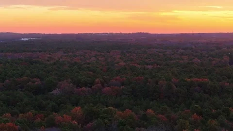Red Fall Trees from an Aerial View Stock Footage 255055217