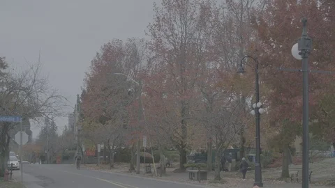 Red fall trees line the street in Victoria BC with traffic Stock Footage 127043423