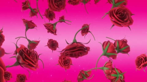Red Falling Roses on Pink Background Stock Footage 244663769
