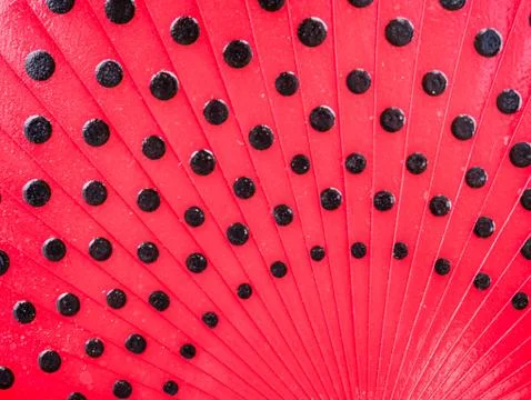 Red fan Stock Photos