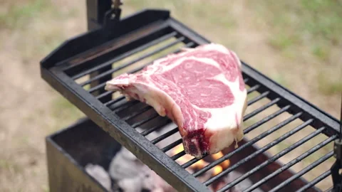 Red fat beef steak roasting on barbecue grill, burning fire and hot charcoals Stock-Footage 223600542