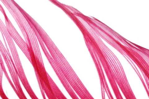 Red feather abstract texture background Foto stock