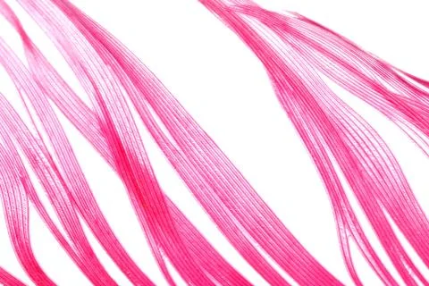 Red feather abstract texture background Stock Photos