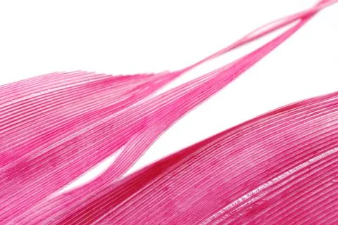 Red feather abstract texture background Stock Photos