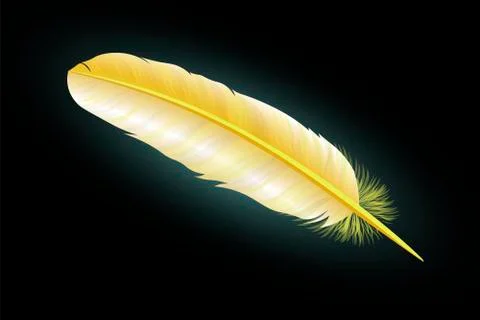Red feather on a black background. Vector Stock Illustration