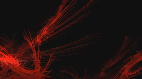 Red Feather Fire Background Feather Stock Footage 3772509