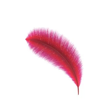 Red Feather. Isolated on white background. 3D rendering illustration. Иллюстрация