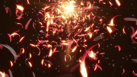 Red feather particle glow loop animation Stock Footage 146576614