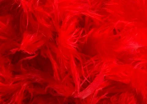Red feather texture background photo. Stock-Fotos