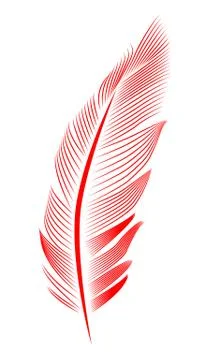 Red feather on white background, isolated. letter, flight イラスト素材