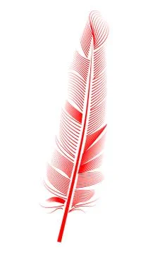 Red feather on white background, isolated. letter, flight 스톡 일러스트