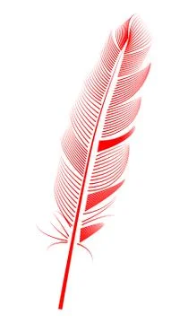 Red feather on white background, isolated. letter, flight 스톡 일러스트