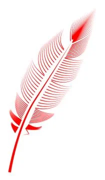 Red feather on white background, isolated. letter, flight 스톡 일러스트