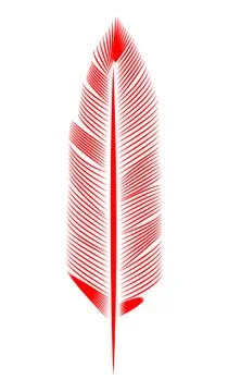 Red feather on white background, isolated. letter, flight イラスト素材