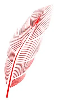 Red feather on white background, isolated. letter, flight イラスト素材