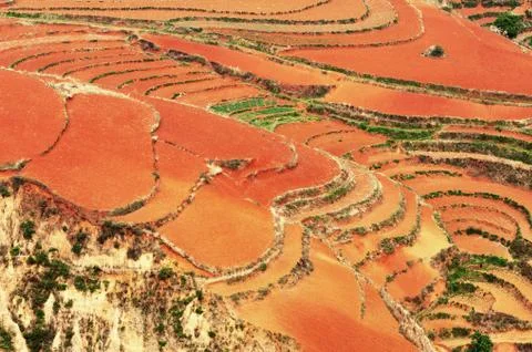 Red field Stock Photos