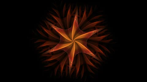Red fiery flower Stock Footage 36443340