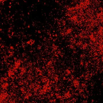 Red Fine Grain Paint Speckles on Black Stock Illustration