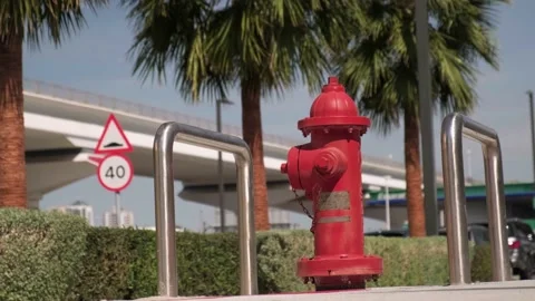 Red fire crane in dubai on the background of palm trees, sunny weather Vidéo 234987261