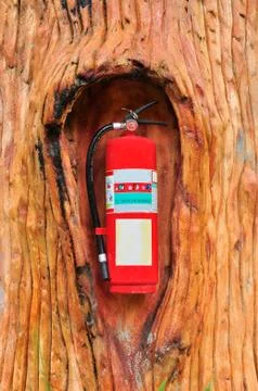 Red fire extinguisher in the tree Stock Photos