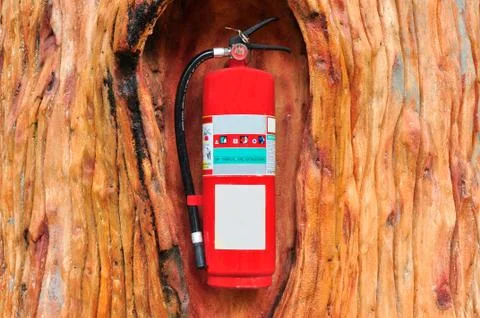 Red fire extinguisher in the tree Stock Photos
