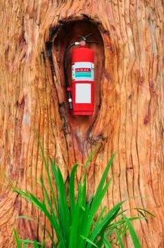 Red fire extinguisher in the tree Stock Photos