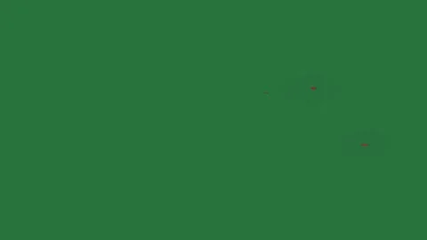A red fire on green background and with white border screen dot it small green Stock Footage 335681356