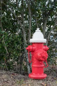 Red fire hydrant adjacent to shrubbery 写真素材