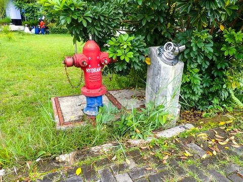 Red fire hydrant and fire hose connector Foto stock