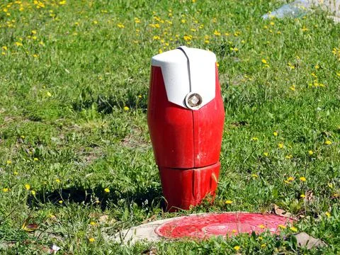 Red fire hydrant on the background of the lawn Stock-Fotos