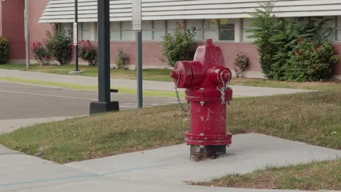 Red Fire Hydrant Beside Sidewalk in Static Shot Stock Footage 340577844