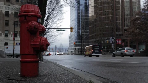 Red Fire Hydrant on City Street Stock Footage 101981881