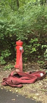 Red fire hydrant with coiled hose resting on ground in green surroundings Stock Photos