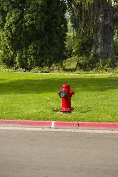 Red fire hydrant at the edge of a green city park Stock Photos