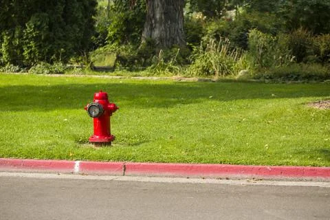 Red fire hydrant at the edge of a green city park near the road Foto stock