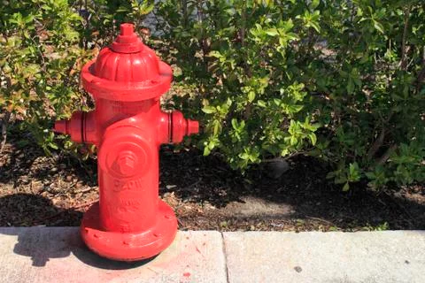 Red fire hydrant in florida 库存照片